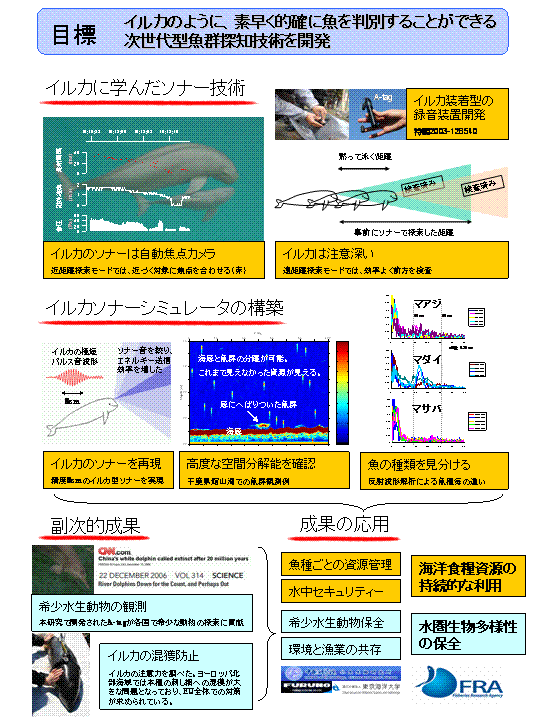 イルカ型ソナーをモデルとした次世代魚群探知技術の研究