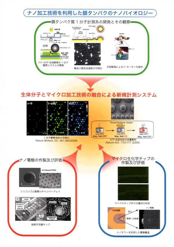 ナノ加工技術を利用した膜タンパク質のナノバイオロジー