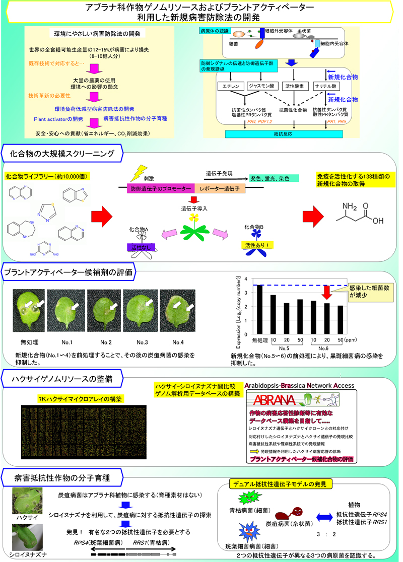 アブラナ科作物ゲノムリソースおよびプラントアクティベーターを利用した新規病害防除法の開発