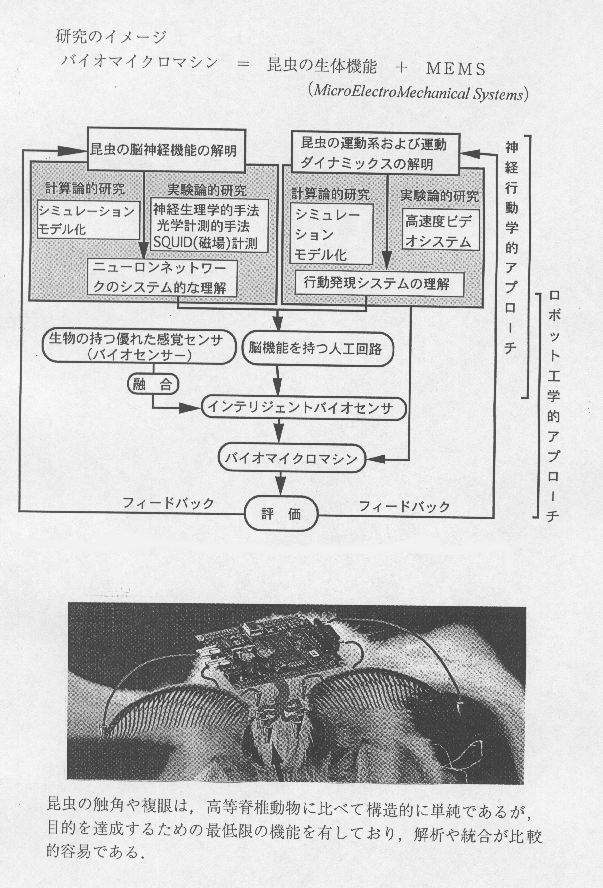 昆虫の生体機能に基づくバイオマイクロマシンの研究