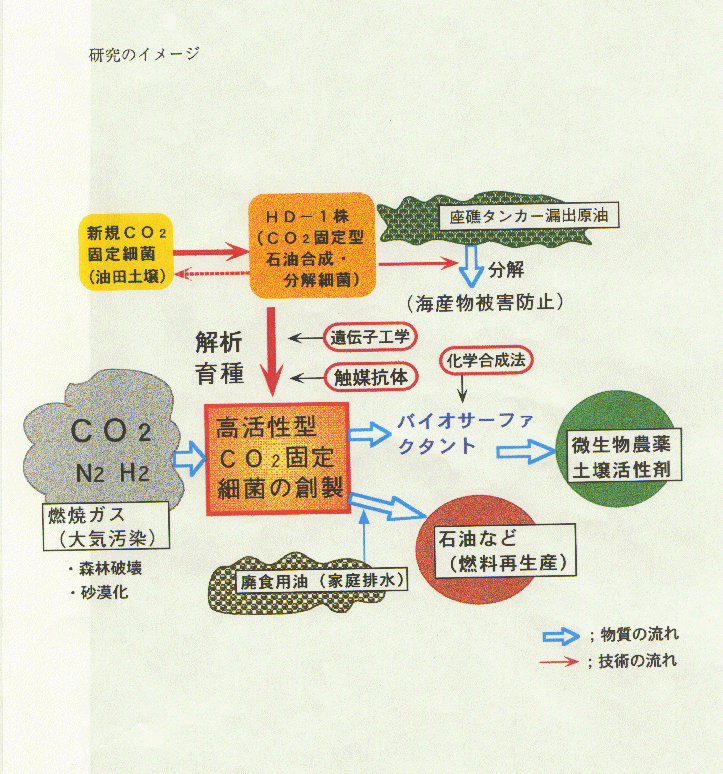 CO2固定細菌を利用した地球環境修復システムの構築