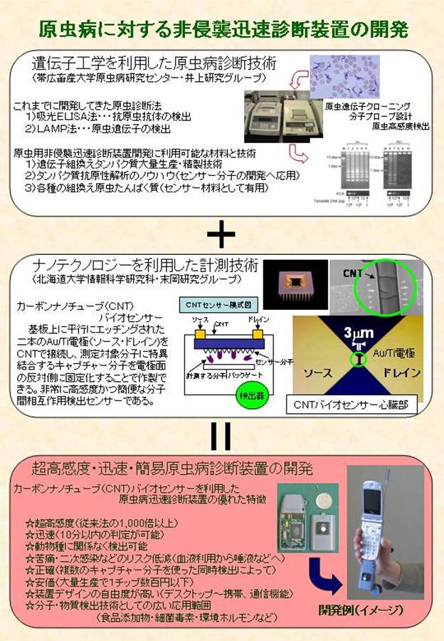 原虫病に対する非侵襲性迅速診断装置の開発