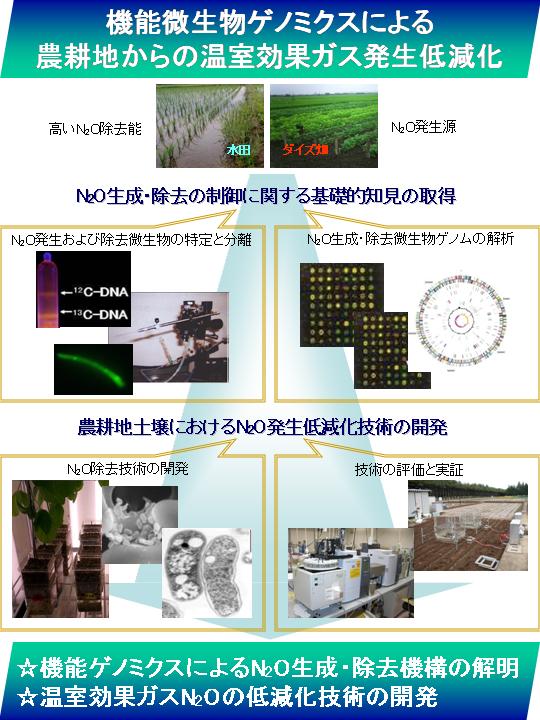 機能微生物ゲノミクスによる農耕地からの亜酸化窒素ガス低減化