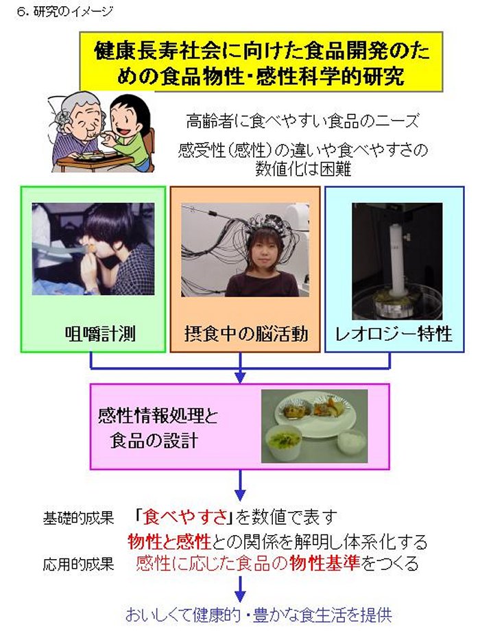 健康長寿社会に向けた食品開発のための食品物性・感性科学的研究