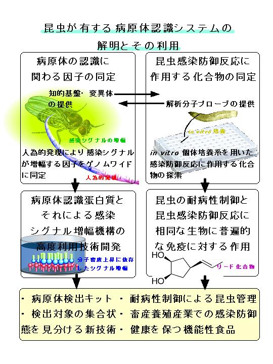 昆虫が有する病原体認識システムの解明とその利用