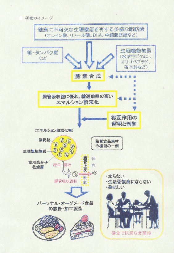 高機能性脂質食品素材の開発に関する基盤的研究