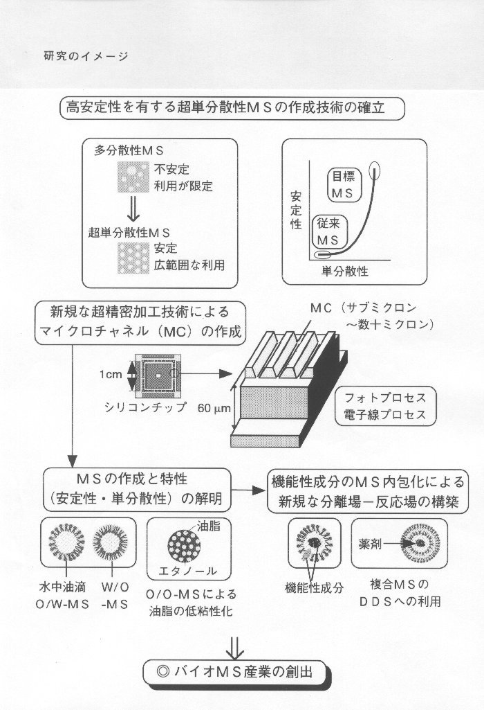 超単分散性マイクロスフィアを用いた新規な分離場および反応場の構築に関する基礎研究