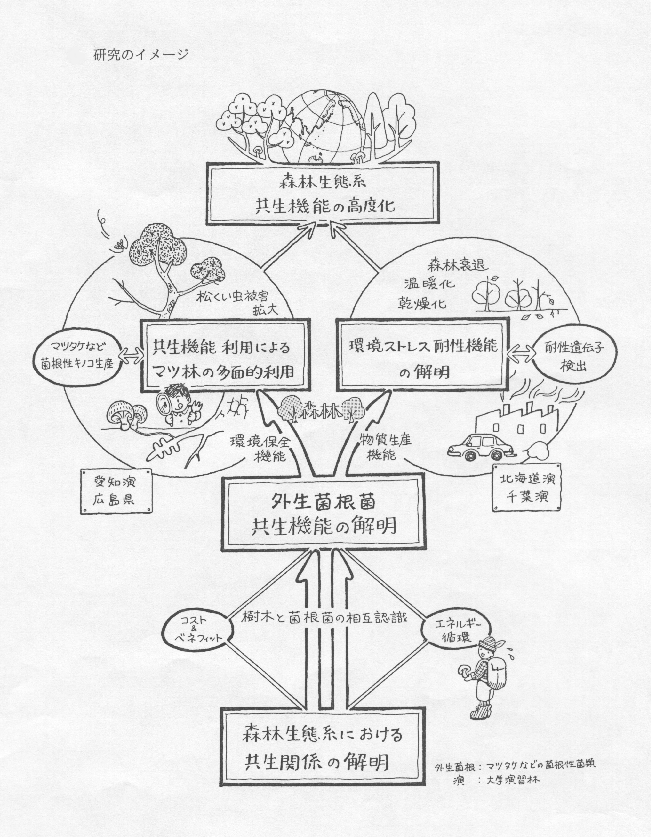 森林生態系における共生関係の解明と共生機能の高度利用のための基礎研究