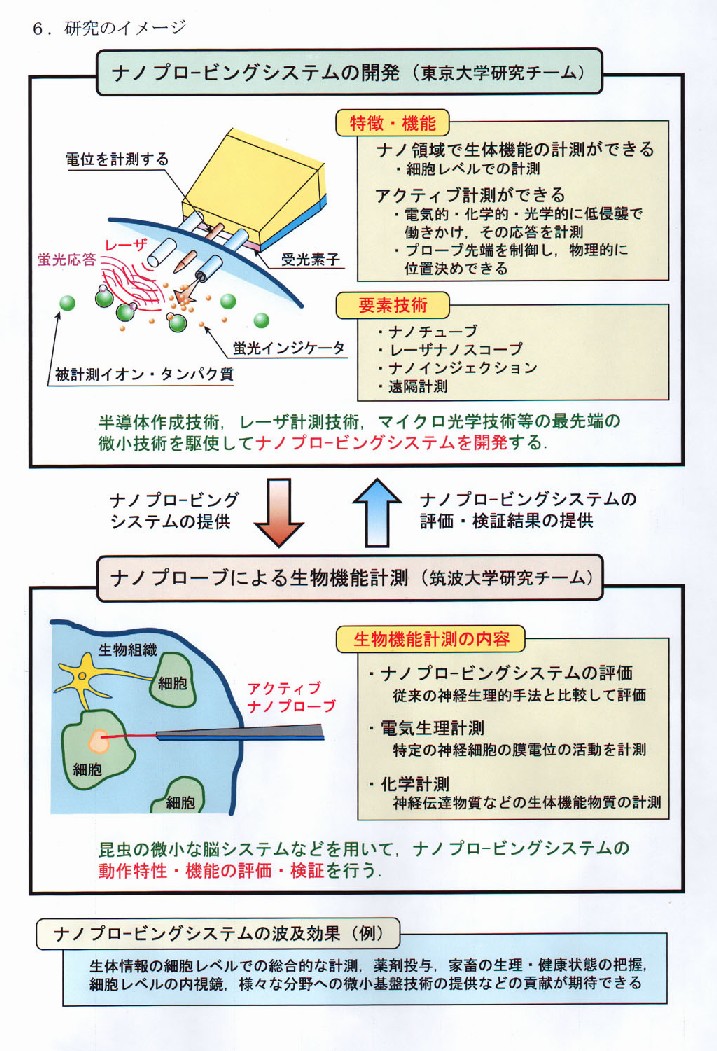 ナノプローブによる生物機能のナノ領域でのアクティブ計測