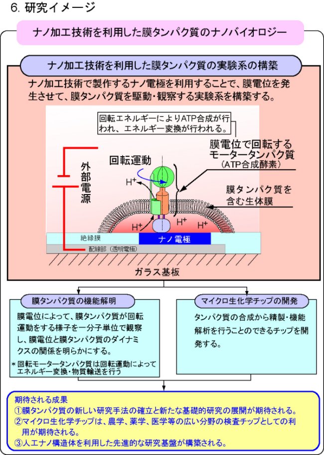 ナノ加工技術を利用した膜タンパク質のナノバイオロジー