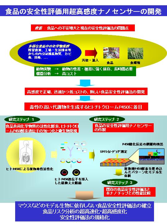 食品の安全性評価用超高感度ナノセンサーの開発