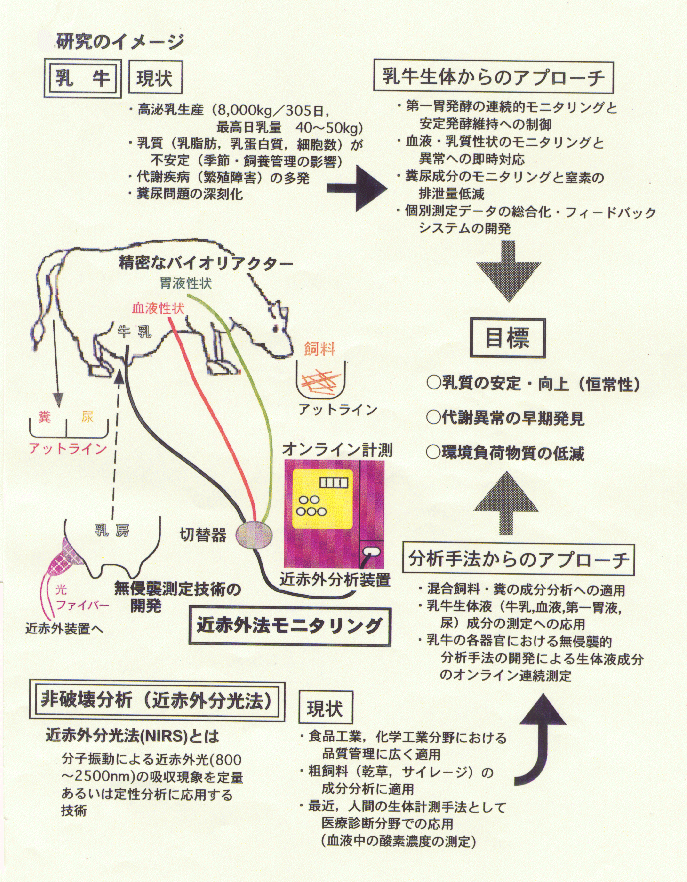 近赤外分光法を基軸とする乳牛生体情報のオンラインモニタリング手法の開発に関する基礎的研究