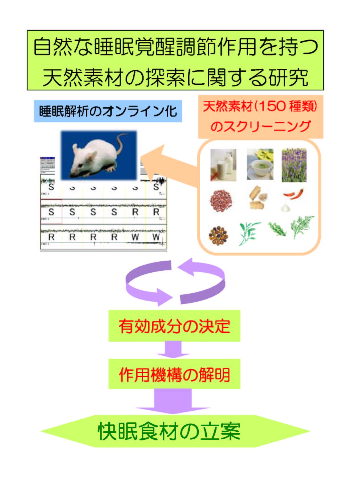 自然な睡眠覚醒調節作用を持つ天然素材の探索に関する研究