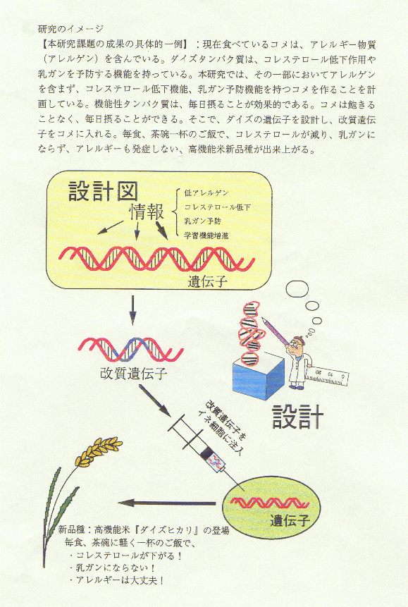 生理機能調節性タンパク質集積作物の開発と利用に関する総合的基礎研究