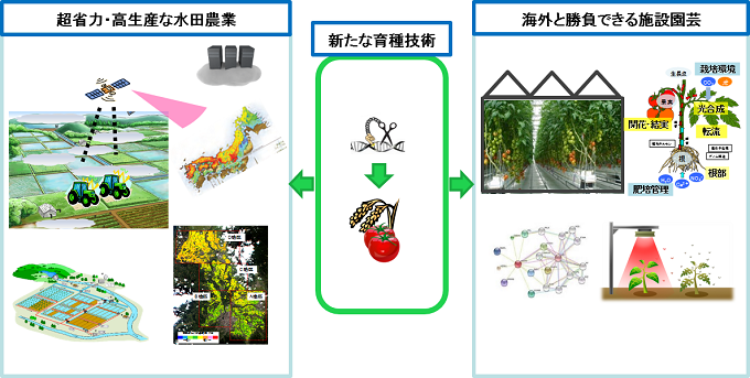 重点目標1画像