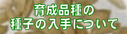 育成品種の種子の入手について