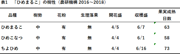 表1 「ひめまるこ」の樹性