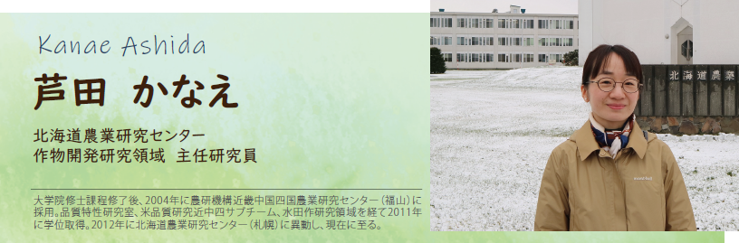 芦田 かなえ 北海道農業研究センター 作物開発研究領域 主任研究員 大学院修士課程修了後、2004年に農研機構近畿中国四国農業研究センター(福山)に採用。品質特性研究室、米品質研究近中四サブチーム、水田作研究領域を経て2011年に学位取得。2012年に北海道農業研究センター(札幌)に異動し、現在に至る。