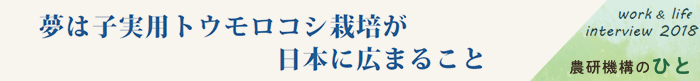 夢は子実用トウモロコシ栽培が日本に広まること