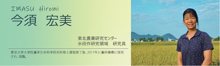 今須 宏美 東北農業研究センター 水田作研究領域 研究員 東京大学大学院農学生命科学研究科修士課程修了後、2017年に農研機構に採用され、現職。