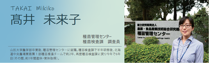 髙井 未来子 種苗管理センター 種苗検査課 調査員 山形大学農学部卒業後、種苗管理センターに就職。種苗検査課で半年研修後、北海道中央農場業務第1部種苗推進チームで約2年、再度種苗検査課に戻り今年で6年目(その間、約1年間産休・育休取得)。