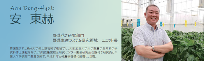 安 東赫 野菜花き研究部門 野菜生産システム研究領域 ユニット長 韓国生まれ。済州大学修士課程終了後留学し、大阪府立大学大学院農学生命科学研究科博士課程を修了。茨城県農業総合研究センター園芸研究所任期付き研究員と千葉大学研究部門教員を経て、平成21年から農研機構に就職し、現職。