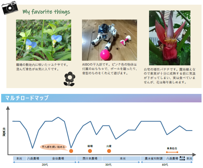 職場の敷地内に咲いたツユクサです。澄んだ青色がお気に入りです。/AIBOの平九郎です。ピンク色の物体は付属のおもちゃで、ボールを蹴ったり、骨型のものをくわえて遊びます。/自宅の矮性バナナです。露地植えなので果実が十分に成熟する前に気温が下がってしまい、実は食べていませんが、花は毎年楽しめます。/マルチロードマップ