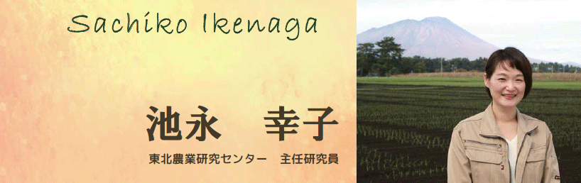 池永 幸子 本部 東北農業研究センター 主任研究員