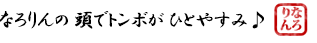 なろりんの 頭でトンボが ひとやすみ♪