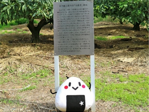 別荘跡地紹介看板の前に立つなろりん