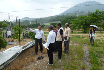 Visiting the fruit trees grown under the 