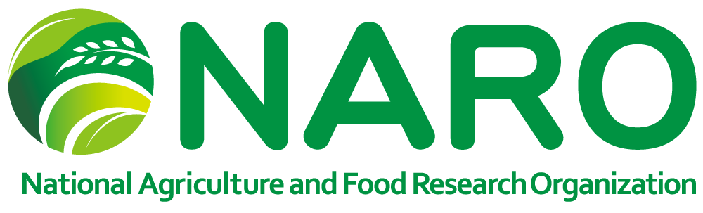 naroicon