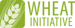 Logo: Wheat Initiative