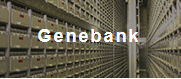 Genebank