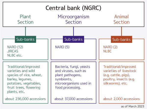 NGRC:Genebank Project