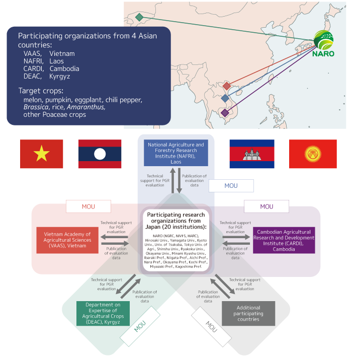 PGRAsia Network