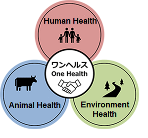 NIAH:Division of Zoonosis Research