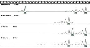 DNA analysis