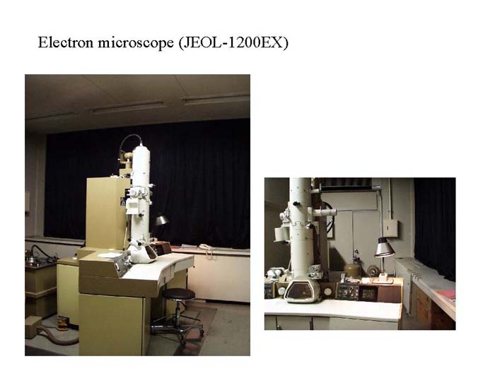 Electron microscope