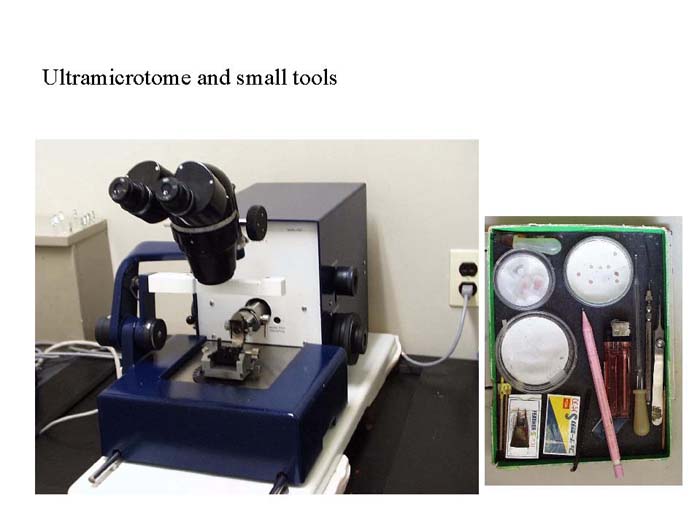 Ultramicrotome