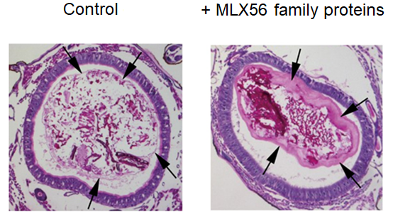 Figure3