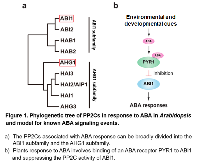 aba-1