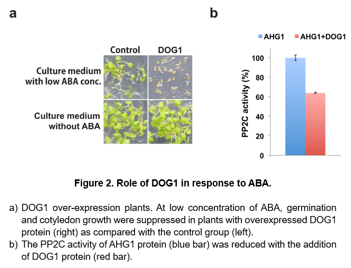 aba-2