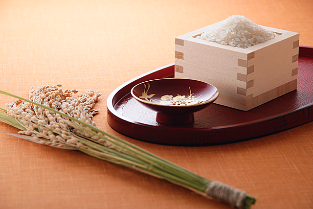 ricegenomics2