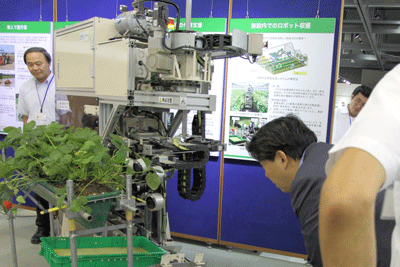 explanation of a strawberry picking robot