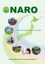 NARO Brochure