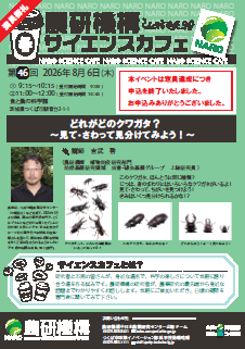 農研機構サイエンスカフェ第46回どれがどのクワガタ?~見て・さわって見分けてみよう!