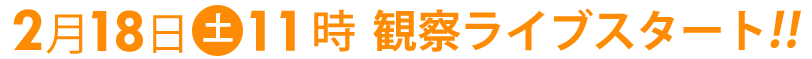 2月18日土曜日11時スタート