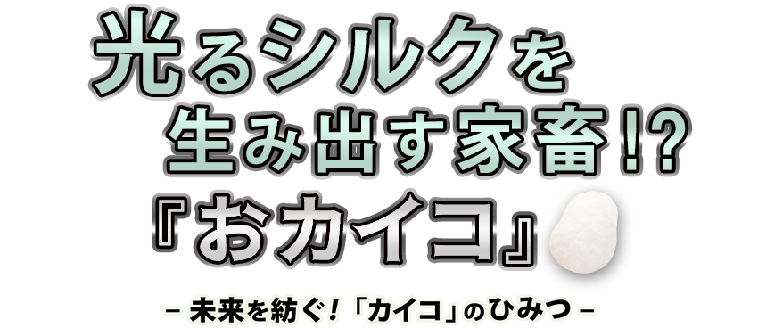 農研機構 冬のオンライン一般公開「光るシルクを生み出す家畜『おカイコ』」