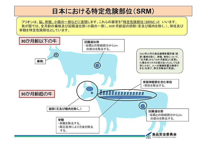 特定危険部位の図